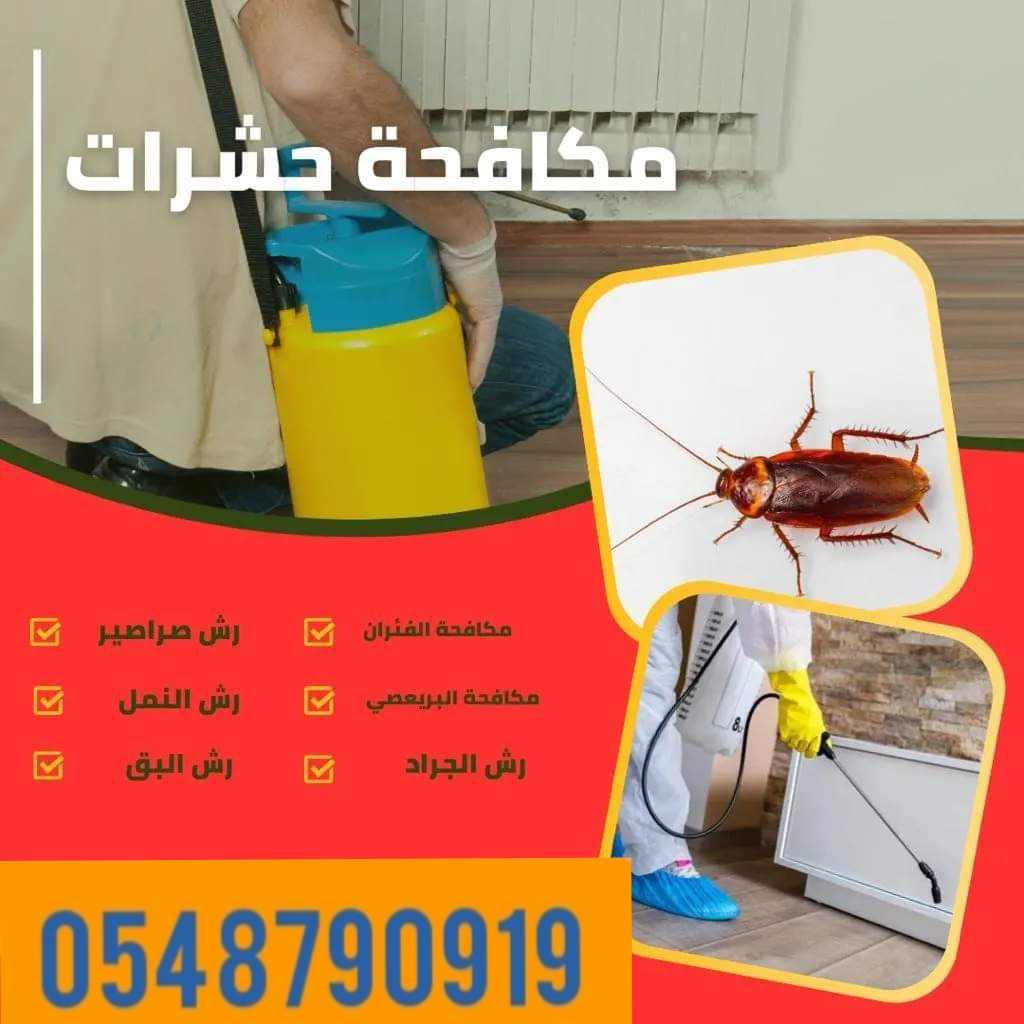 Read more about the article شركه مكافحه حشرات بالجبيل 0548790919