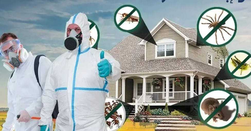 Read more about the article شركه تنظيف بالخبر-0543689866